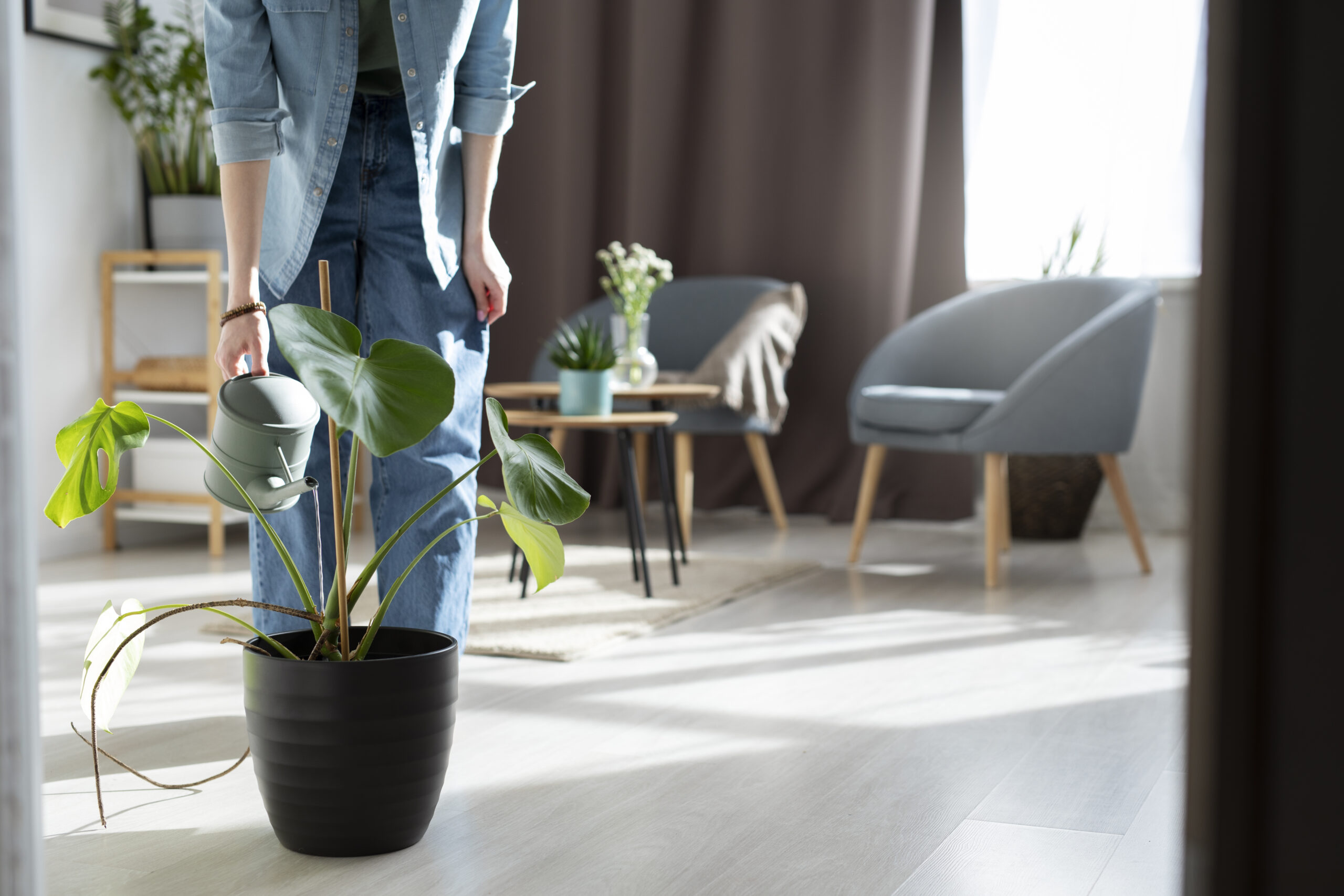 spring-home-makeover