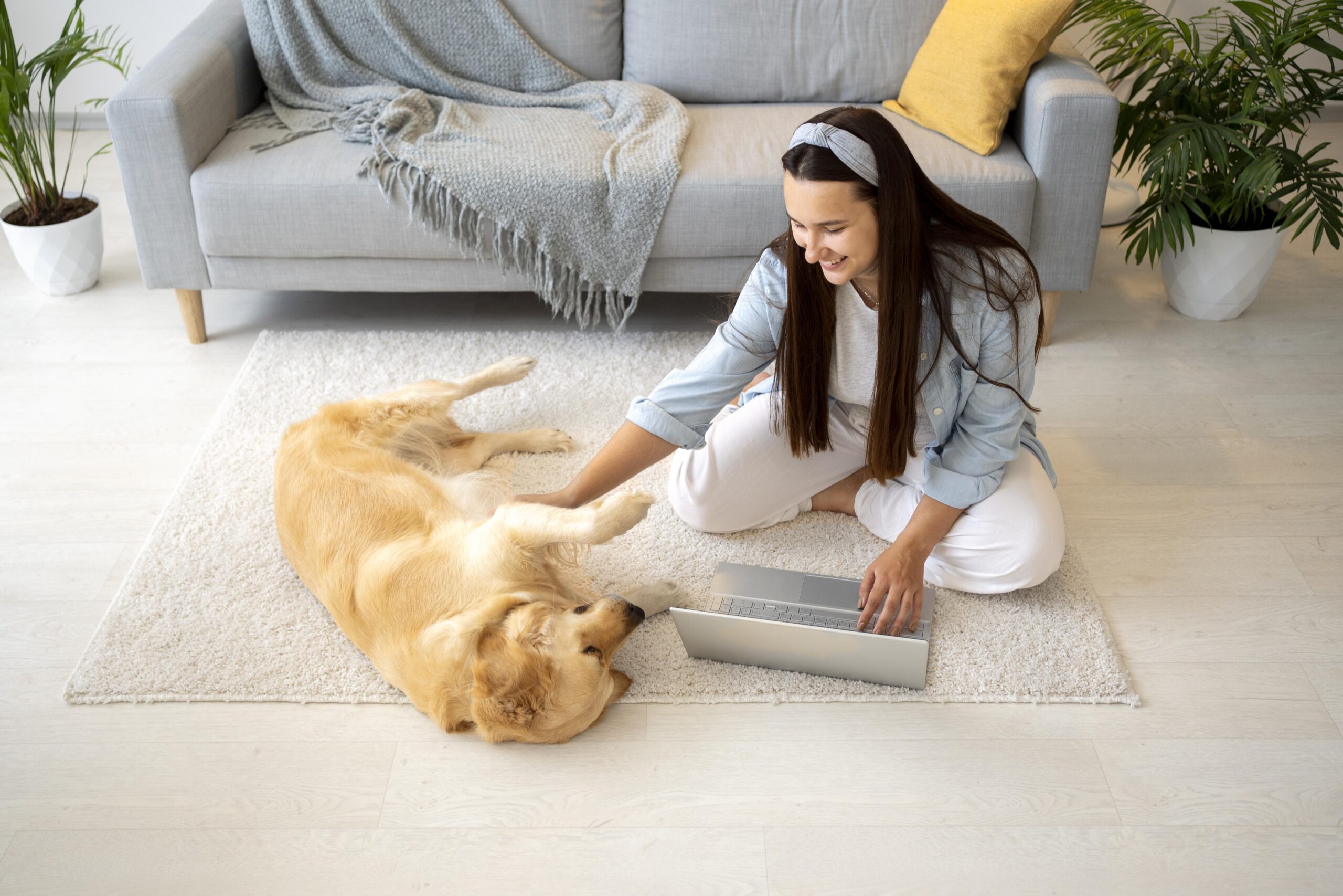 pet-friendly-flooring